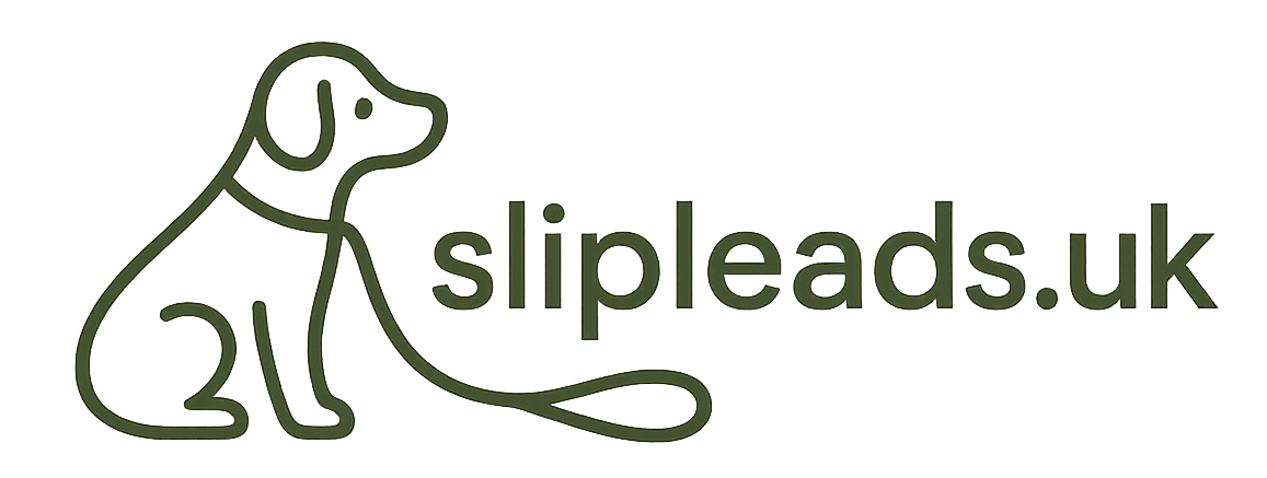 sliplogo Slip Leads