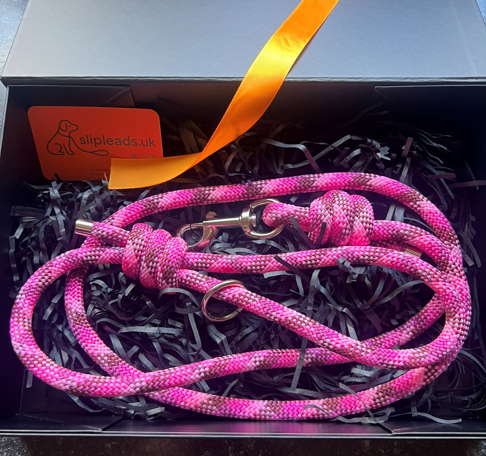 Knot The Lead in pink